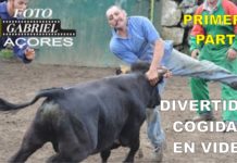 Divertidas cogidas de toros al estilo corralejas
