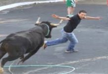 Corralejas, marradas con humor